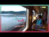 [예고] 나 혼자 간다 여행-3색 힐링 여행, 일본 가고시마 편 이영진!
