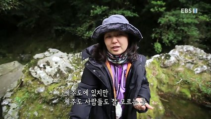 한국기행 - Korea travel_여행책에 없는 제주 2부- 비밀의 계곡 효돈천_#001