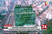 Miraflores: vecinos saludaron ordenanza que promueve edificios con techos verdes