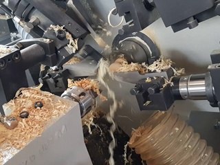 Les cochonets sont jurassiens