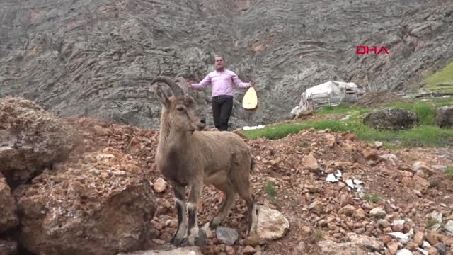 Hakkari Türkücü Aydın Aydın, Çukurca Dağlarında Dağ Keçisiyle Klip Çekti