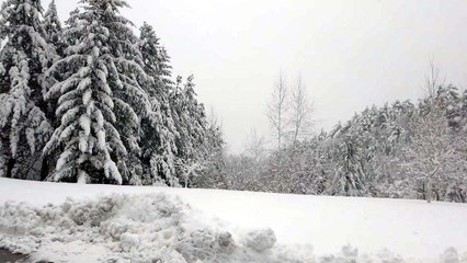 [날씨] 4월의 설국...강원 산간, 21년 만의 폭설 / YTN