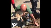 Ce petit chien était coincé depuis 6 jours dans une galerie sous terre  Mais Billy a été miraculeusement sauvé ⤵
