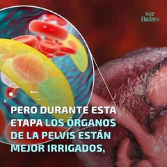 Sexo en las diferentes etapas del embarazo