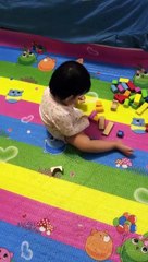 The naughty cat knocks over the blocks.