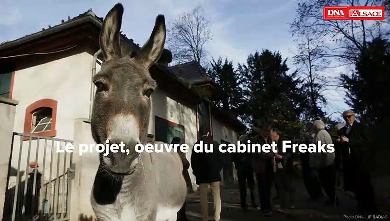 Réouverture de la mini ferme de l'orangerie strasbourg