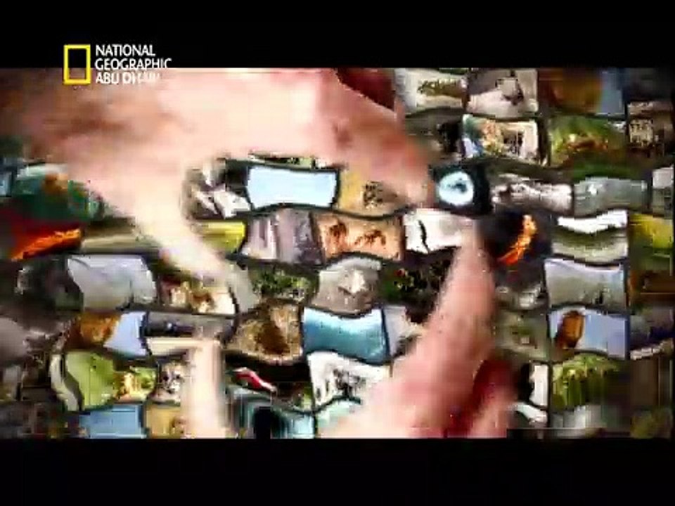 وثائقى احداث 11 سبتمبر