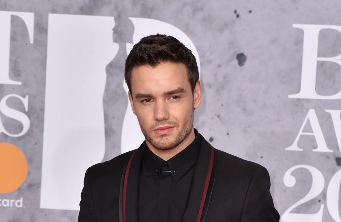 Liam Payne auditioned with Steven Spielberg for West Side Story role