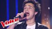BB Brunes - Dis-moi | Sacha Tran | The Voice France 2012 | Blind Audition