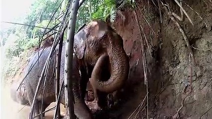 구미출장안마 -후불1ØØ%ョØ7Øz7575zØØ54｛카톡KC789｝구미전지역출장안마'출장마사지'구미출장안마'구미출장마사지'출장안마'출장아가씨강추ヴト