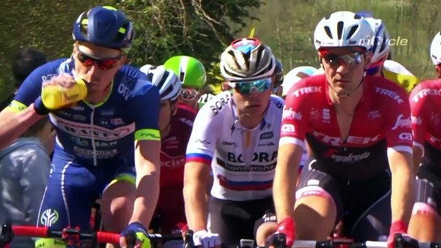 Frederick Backaert - Flanders Farmer