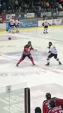 Cet arbitre veut séparer une bagarre entre deux joueurs et se prend un KO