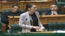 El Parlamento de Nueva Zelanda endurece la ley de tenencia de armas