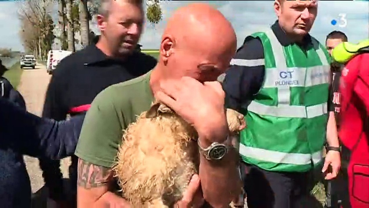 Côte-d’Or  le chien Billy, coincé dans un tunnel sous le canal de Bourgogne, a été sauvé