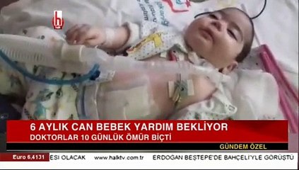 6 aylık Can Bebek yardım bekliyor