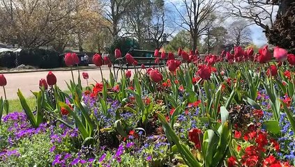 GOODLINES: 11th April 2019