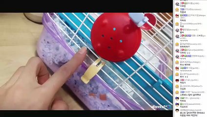 홍천출장안마 -후불1ØØ%ョØ1Øa2671a8135｛카톡CT369｝홍천전지역출장안마'출장마사지'홍천출장안마'홍천출장마사지'출장안마'출장안마후기♀œ