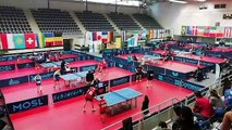 Circuit mondial de tennis de Table : le bon coup économique de Metz