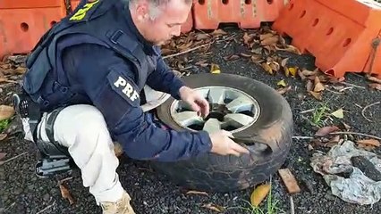 PRF realiza grande apreensão de medicamentos na BR-277