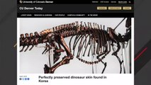 Paleontologists Stunned To Find 'Perfectly Preserved' Dinosaur Skin In South Korea