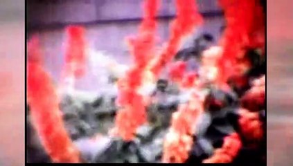 MAY/LEWIS Family 8mm Home Movies 1965-1970 years PART 3