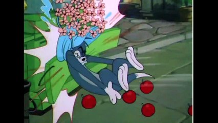 Tom & Jerry | Location, Location, Location! | Classic Cartoon Compilation | Best Compilation