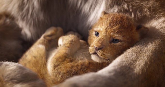 หนัง Disney’s The Lion King เดอะ ไลอ้อน คิง - ตัวอย่าง