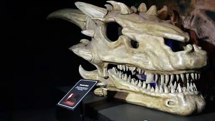 A Belfast, Game of Thrones donne un coup de pouce au tourisme