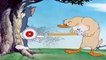 Tom y Jerry en Español  Little Quacker  + Down and Outing  Dibujos ani