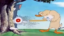 Tom y Jerry en Español  Little Quacker  + Down and Outing  Dibujos ani