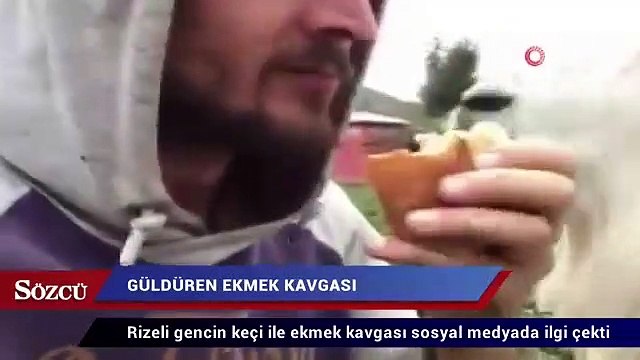 Rizeli gencin keçi ile ekmek kavgası sosyal medyada ilgi çekti