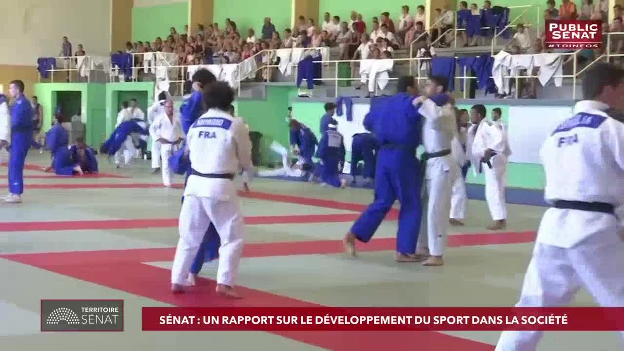 Invité : Michel Savin - Territoire Sénat (11/04/2019)