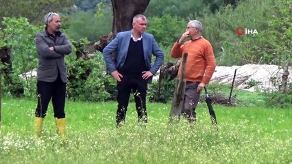 Söke’de Kisir Çayı yine taştı, ekili araziler zarar gördü