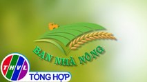 THVL | Bạn nhà nông - Kỳ 178: Phân bón vô cơ, hiểu để sử dụng đúng