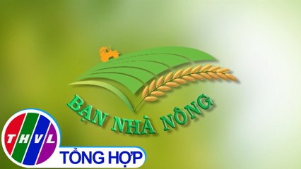 THVL | Bạn nhà nông - Kỳ 178: Phân bón vô cơ, hiểu để sử dụng đúng