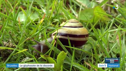 Belgique : le glyphosate déchire Bruxelles