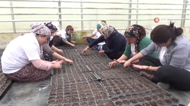Kadınlardan Türkülü Tohum Ekimi