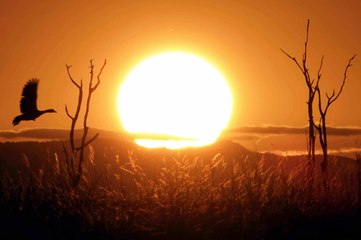 Afrique Australe, le voyage sauvage