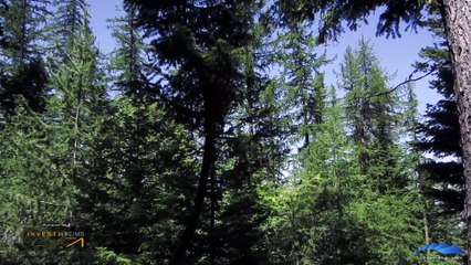 CLEVER ENERGIES, cabinet de conseil en économie d'énergie à Reims