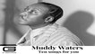 Muddy Waters - I'm Your hoochie coochie Man