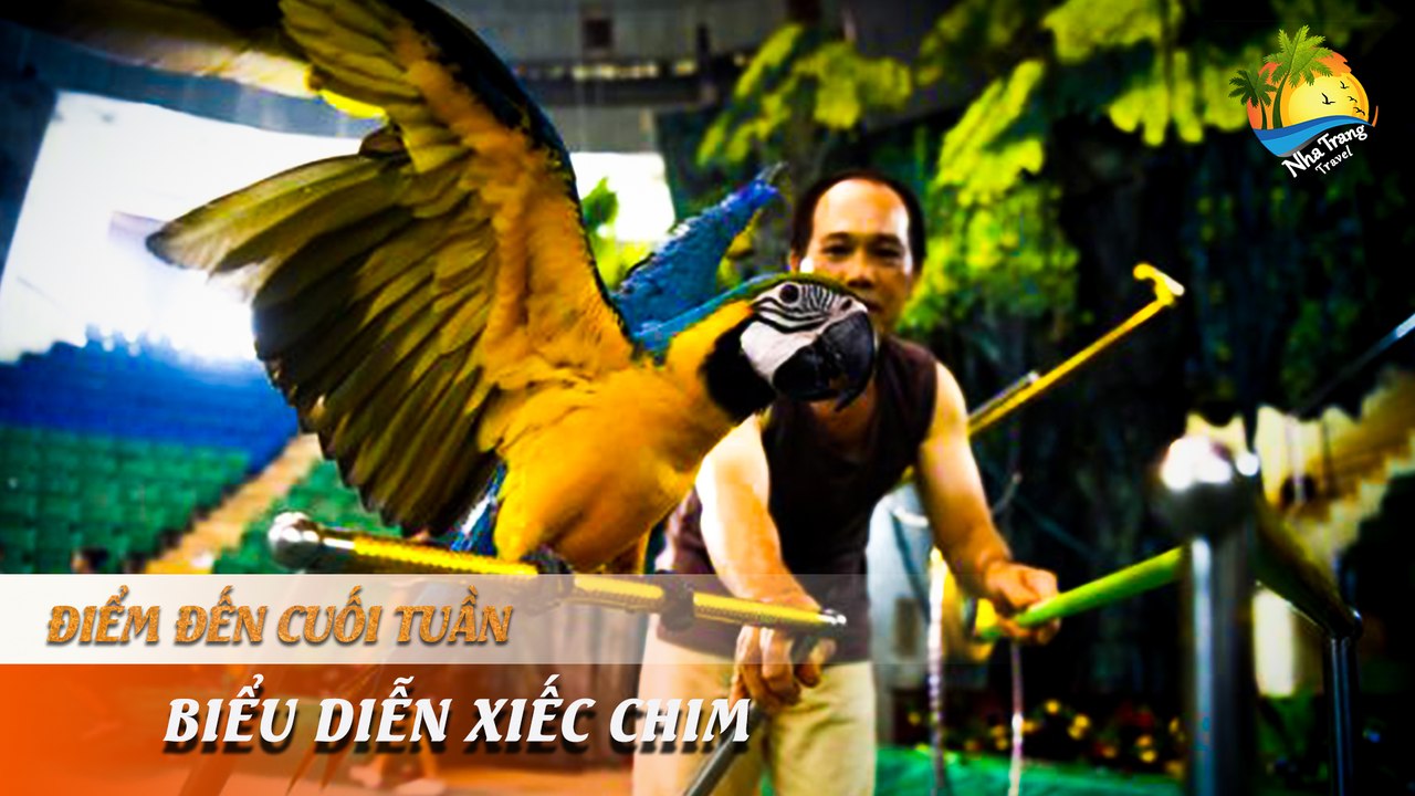 [ĐIỂM ĐẾN CUỐI TUẦN] -  Mãn nhãn với màn xiếc chim độc nhất vô nhị | NHA TRANG TRAVEL