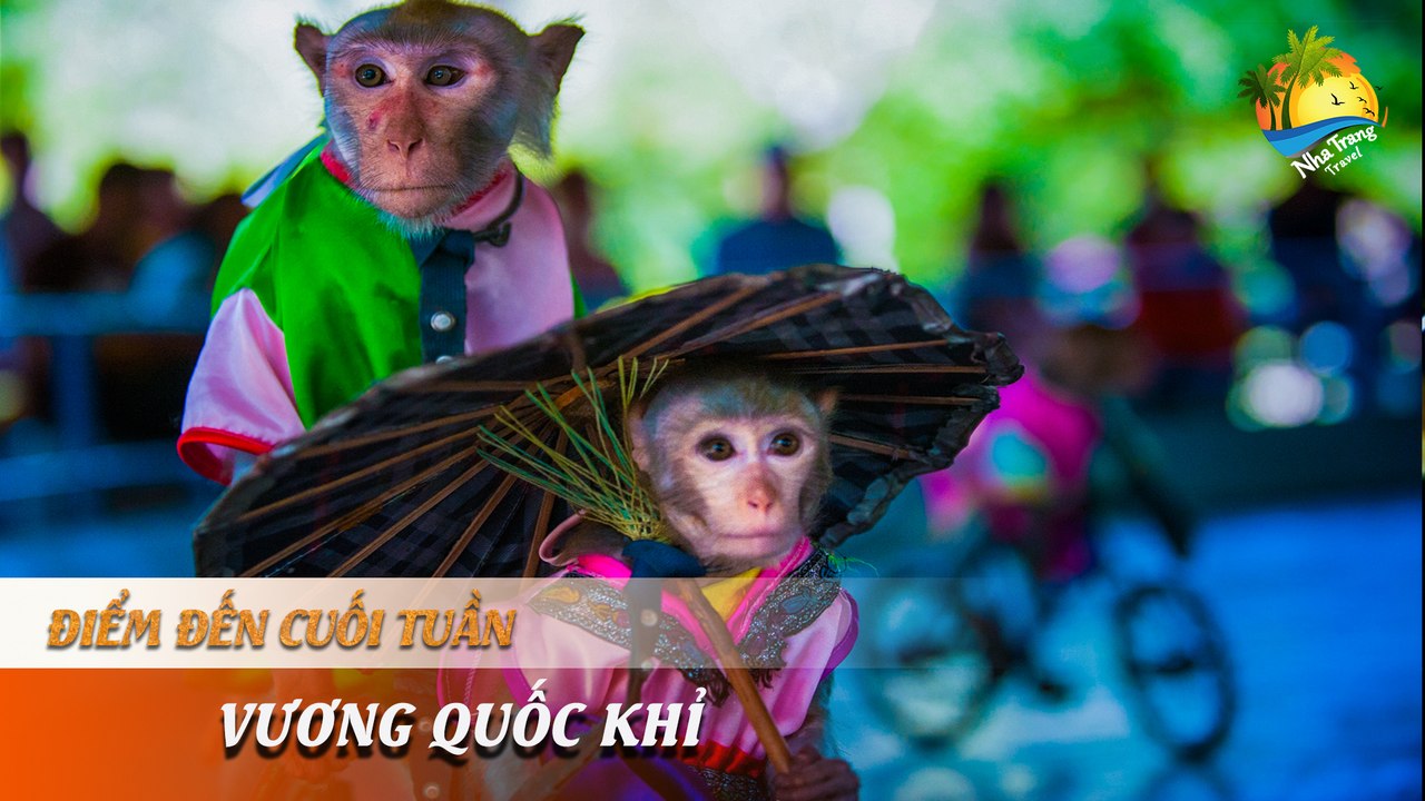 [ĐIỂM ĐẾN CUỐI TUẦN] -  "Quẩy banh nóc" trong thế giới của loài khỉ | NHA TRANG TRAVEL