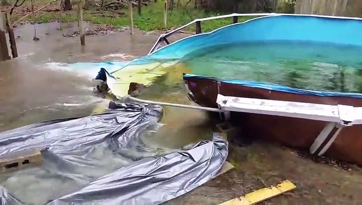 Il veut vider la piscine et la détruit dans le jardin !