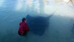 Giant poisonous stingray swims up to woman so she can stroke him