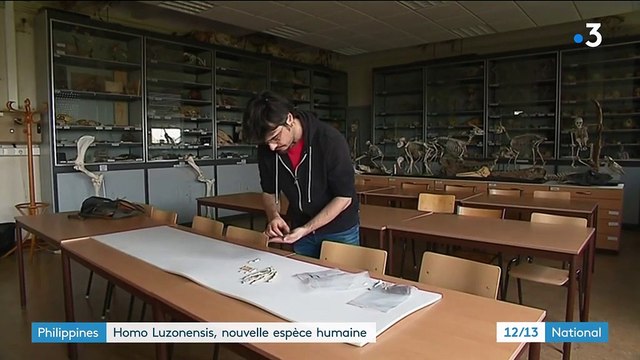 Découverte : Homo luzonensis, nouvelle espèce humaine