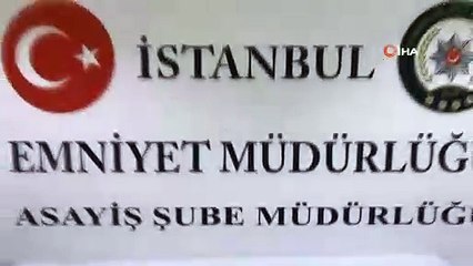 Mısırlı iş adamının 1.5 milyon liralık elmasını çalan kadın yakalandı