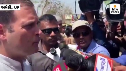 રાહુલના ચહેરા પર દેખાઈ ગ્રીન લેઝર લાઈટ, કોંગ્રેસના નેતાઓએ રાજનાથ સિંહને પત્ર લખ્યો