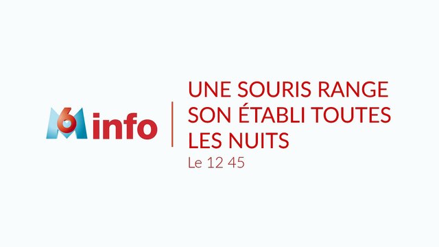 VIDÉO - Une souris range son établi toutes les nuits