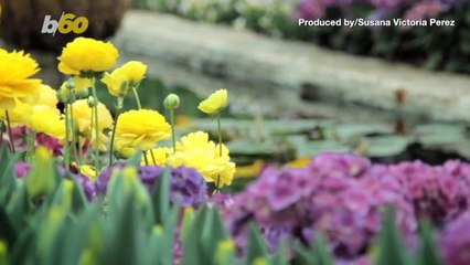 5 Easy Tips on How to Spring Clean Your Car