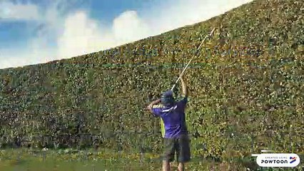 Hedge Trimming Services in Calgary